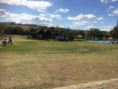 Bolo Criollo Araucano
